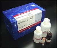 膜粘连蛋白 I抗体_供应产品_上海泛轲实业