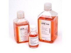 精氨酸葡萄糖斜面琼脂（AGS） 上海实业的创新与应用