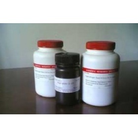 丙烯葡聚糖凝胶S-200 HR 上海研生实业的优质产品选择