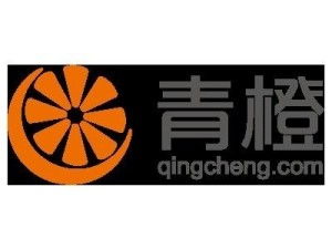 上海青橙实业与上海实业 探究企业名称背后的战略定位与市场角色